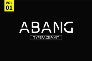 Abang: A Practical Evaluation for Decision-Makers