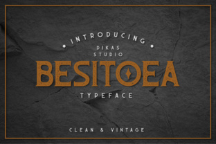 Besitoea: Redefining How Professionals and Creators Navigate Complexity