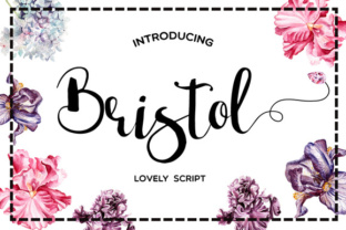 Bristol: A Balanced Perspective for Those Weighing Their Options