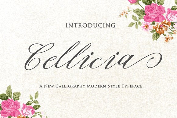 Cellicia: Your Digital Hub for Work and Creativity