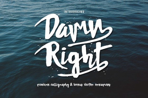 Damn Right: The Principles of Confident Decision-Making in a Complex World
