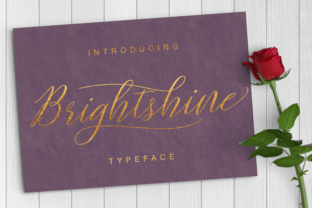 Evaluating Brightshine: A Practical Guide for Informed Decision-Making