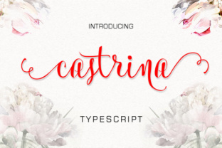 Evaluating Castrina: A Practical Guide for Decision-Makers