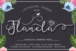 Flanela: The Quiet Evolution of Comfort and Quality