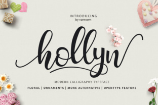 Hollyn: A Comprehensive Evaluation for Decision-Makers