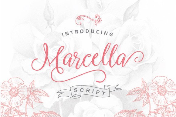 Marcella and the Architecture of Intentional Creativity