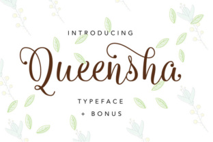 Queensha: A Practical Tool for Modern Creators and Professionals