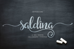 Saldina: A Strategic Framework for Intentional Action and Better Outcomes