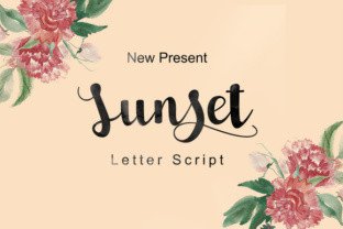 Sunset Script: Complete Guide for All Skill Levels